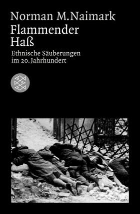 Naimark |  Flammender Haß | Buch |  Sack Fachmedien