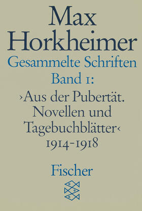 Schmidt / Horkheimer |  Gesammelte Schriften I | Buch |  Sack Fachmedien