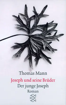 Mann |  Joseph und seine Brüder II. Der junge Joseph | Buch |  Sack Fachmedien