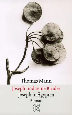 Mann |  Joseph und seine Brüder<br />III. Joseph in Ägypten | Buch |  Sack Fachmedien