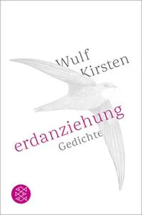 Kirsten |  Erdanziehung | Buch |  Sack Fachmedien