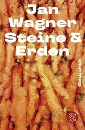 Wagner |  Steine & Erden | Buch |  Sack Fachmedien