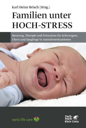 Brisch |  Familien unter Hoch-Stress | eBook | Sack Fachmedien
