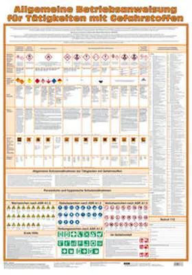 Birett / Vogler |  Wandtafel Allgemeine Betriebsanweisung für Tätigkeiten mit Gefahrstoffen | Sonstiges |  Sack Fachmedien