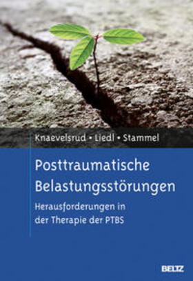 Knaevelsrud / Liedl / Stammel |  Posttraumatische Belastungsstörungen | Buch |  Sack Fachmedien