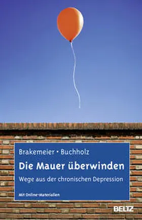 Brakemeier / Buchholz |  Die Mauer überwinden | Buch |  Sack Fachmedien