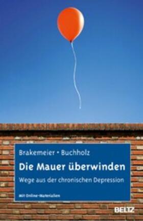 Brakemeier / Buchholz |  Die Mauer überwinden | eBook | Sack Fachmedien