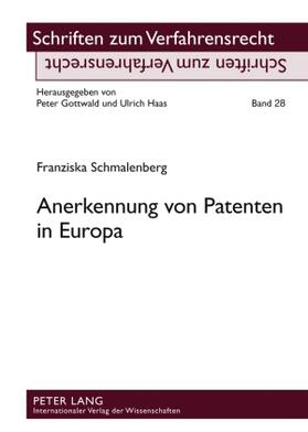 Schmalenberg |  Anerkennung von Patenten in Europa | Buch |  Sack Fachmedien