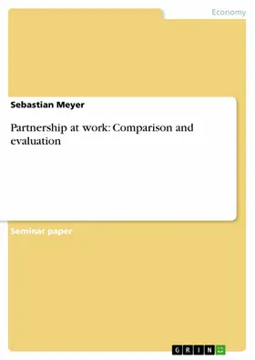 Meyer |  Partnership at work: Comparison and evaluation | eBook | Sack Fachmedien