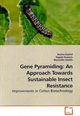 Rashid / Husnain / Sheikh |  Gene Pyramiding: An Approach Towards Sustainable Insect Resistance | Buch |  Sack Fachmedien