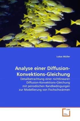 Müller |  Analyse einer Diffusion-Konvektions-Gleichung | Buch |  Sack Fachmedien