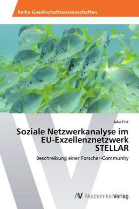 Fink |  Soziale Netzwerkanalyse im EU-Exzellenznetzwerk STELLAR | Buch |  Sack Fachmedien