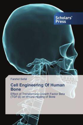 Sefat |  Cell Engineering Of Human Bone | Buch |  Sack Fachmedien