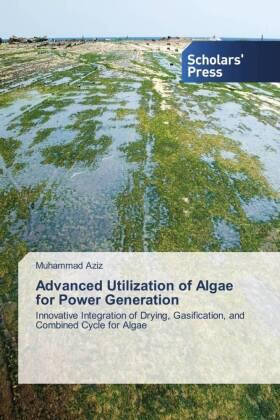 Aziz |  Advanced Utilization of Algae for Power Generation | Buch |  Sack Fachmedien