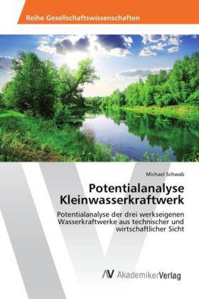 Schwab |  Potentialanalyse Kleinwasserkraftwerk | Buch |  Sack Fachmedien