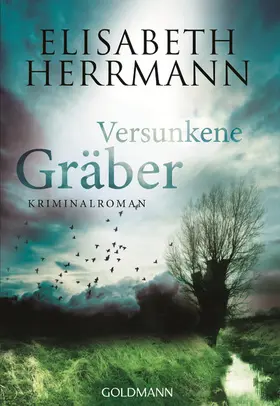 Herrmann |  Versunkene Gräber | eBook | Sack Fachmedien