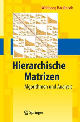 Hackbusch |  Hierarchische Matrizen | Buch |  Sack Fachmedien