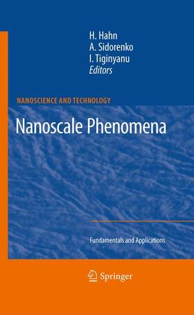 Hahn / Tiginyanu / Sidorenko |  Nanoscale Phenomena | Buch |  Sack Fachmedien