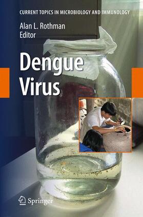 Rothman |  Dengue Virus | Buch |  Sack Fachmedien