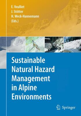 Veulliet / Weck-Hannemann / Johann |  Sustainable Natural Hazard Management in Alpine Environments | Buch |  Sack Fachmedien