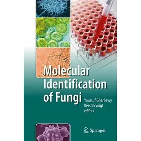 Voigt / Gherbawy |  Molecular Identification of Fungi | Buch |  Sack Fachmedien