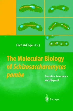 Egel |  The Molecular Biology of Schizosaccharomyces pombe | Buch |  Sack Fachmedien