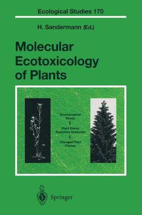 Sandermann |  Molecular Ecotoxicology of Plants | Buch |  Sack Fachmedien