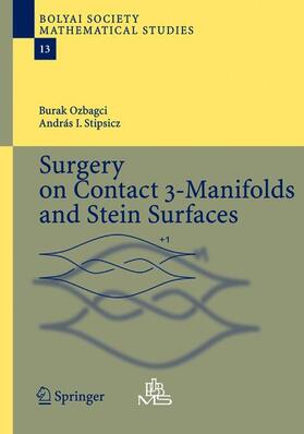 Stipsicz / Ozbagci |  Surgery on Contact 3-Manifolds and Stein Surfaces | Buch |  Sack Fachmedien