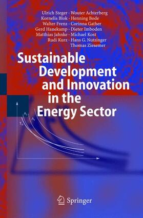 Steger / Kost / Achterberg |  Sustainable Development and Innovation in the Energy Sector | Buch |  Sack Fachmedien