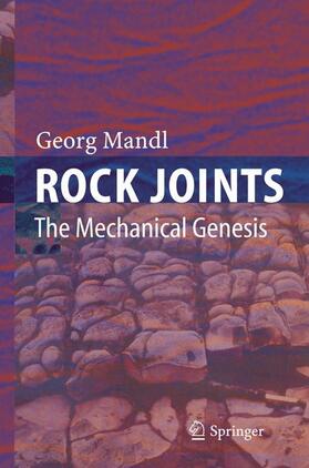 Mandl |  Rock Joints | Buch |  Sack Fachmedien