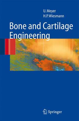 Meyer / Wiesmann |  Bone and Cartilage Engineering | Buch |  Sack Fachmedien