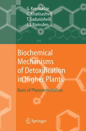 Kvesitadze / Ramsden / Khatisashvili |  Biochemical Mechanisms of Detoxification in Higher Plants | Buch |  Sack Fachmedien