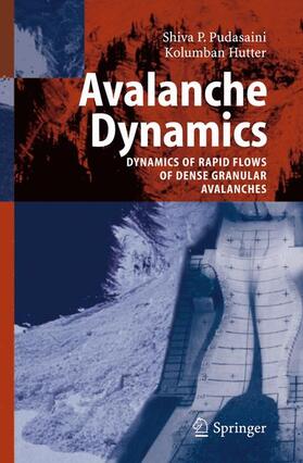 Hutter / Pudasaini |  Avalanche Dynamics | Buch |  Sack Fachmedien