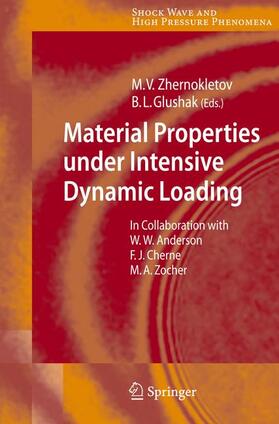 Zhernokletov / Glushak |  Material Properties under Intensive Dynamic Loading | Buch |  Sack Fachmedien