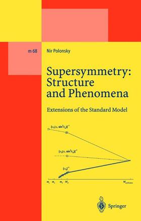 Polonsky |  Supersymmetry: Structure and Phenomena | Buch |  Sack Fachmedien