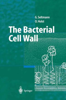 Holst / Seltmann |  The Bacterial Cell Wall | Buch |  Sack Fachmedien