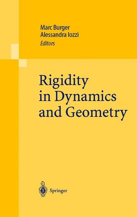 Iozzi / Burger |  Rigidity in Dynamics and Geometry | Buch |  Sack Fachmedien