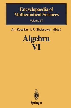 Kostrikin / Shafarevich |  Algebra VI | Buch |  Sack Fachmedien