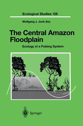 Junk |  The Central Amazon Floodplain | Buch |  Sack Fachmedien