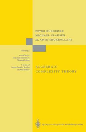Bürgisser / Shokrollahi / Clausen |  Algebraic Complexity Theory | Buch |  Sack Fachmedien