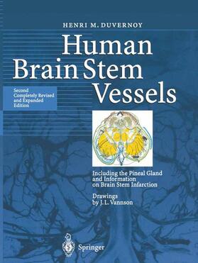 Duvernoy |  Human Brain Stem Vessels | Buch |  Sack Fachmedien