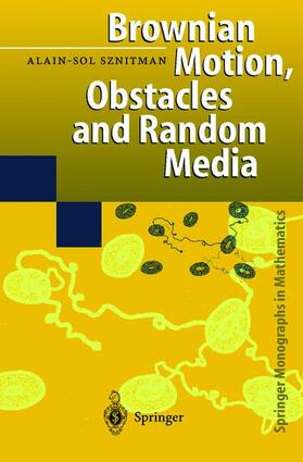 Sznitman |  Brownian Motion, Obstacles and Random Media | Buch |  Sack Fachmedien