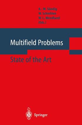 Sändig / Wendland / Schiehlen |  Multifield Problems | Buch |  Sack Fachmedien