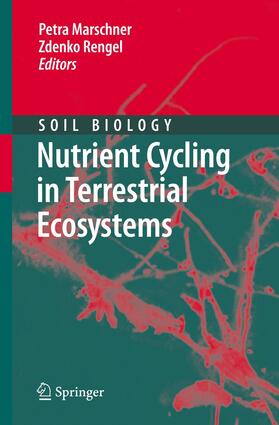 Rengel / Marschner |  Nutrient Cycling in Terrestrial Ecosystems | Buch |  Sack Fachmedien