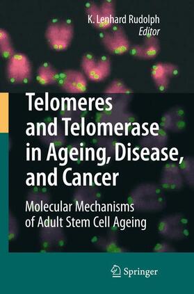 Rudolph |  Telomeres and Telomerase in Aging, Disease, and Cancer | Buch |  Sack Fachmedien