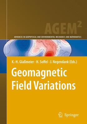 Glaßmeier / Negendank / Soffel |  Geomagnetic Field Variations | Buch |  Sack Fachmedien