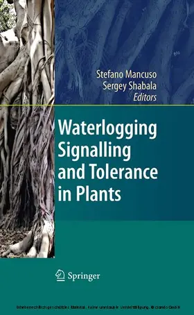 Mancuso / Shabala |  Waterlogging Signalling and Tolerance in Plants | eBook | Sack Fachmedien