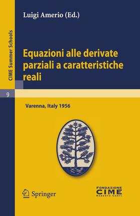 Amerio |  Equazioni alle derivate parziali a caratteristiche reali | Buch |  Sack Fachmedien