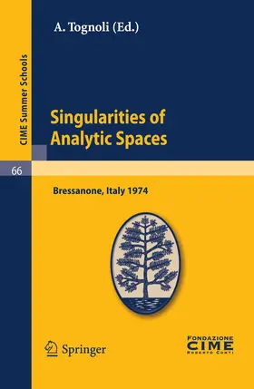 Tognoli |  Singularities of Analytic Spaces | Buch |  Sack Fachmedien