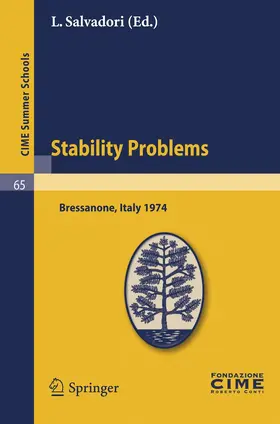 Salvadori |  Stability Problems | Buch |  Sack Fachmedien